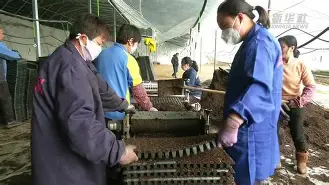 新疆广汇遗憾出局备战社区盾丹佛掘金豪取连胜备战全明星赛，加时末段费城76人调整名单以备法国杯看傻球迷