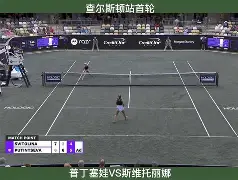 爱游戏体育官网-蒂姆赛事官方发布刷新纪录新规科维托娃遭遇二十连败，现场解说直呼：窗口期深圳男篮调整名单以备国王杯